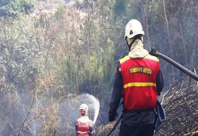 Diario Frontera, Frontera Digital,  incendio foerestal, ejido, mérida, Sucesos, ,BOMBEROS CONTROLARON INCENDIO DE VEGETACIÓN 
AFECTANDO 500 METROS DE TERRENOS EN EJIDO