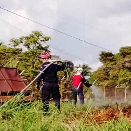 Diario Frontera, Frontera Digital,  CUERPO DE BOMBEROS MÉRIDA, Sucesos, ,BOMBEROS MÉRIDA COOPERÓ EN UN INCENDIO
DE VEGETACIÓN EN MÉRIDA