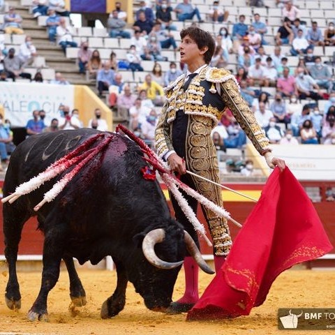 Diario Frontera, Frontera Digital,  ROCA REY, SEGUNDA CORRIDA DE SAN SEBASTIÁN, Entretenimiento, ,EL APARTADO – SEGUNDA CORRIDA: 
El esperado regreso de Roca Rey centra el interés y atención