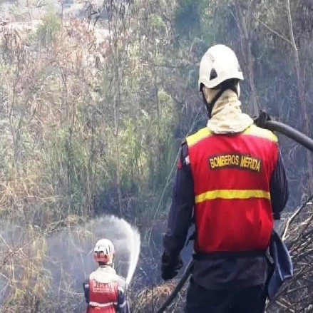 Diario Frontera, Frontera Digital,  incendio foerestal, ejido, mérida, Sucesos, ,BOMBEROS CONTROLARON INCENDIO DE VEGETACIÓN 
AFECTANDO 500 METROS DE TERRENOS EN EJIDO