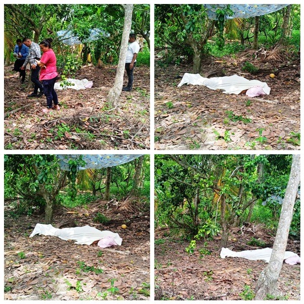 Diario Frontera, Frontera Digital,  CICPC, EL VIGÍA, Sucesos, ,Cicpc indaga motivo del suicidio
de ciudadano en los naranjos de El Vigía