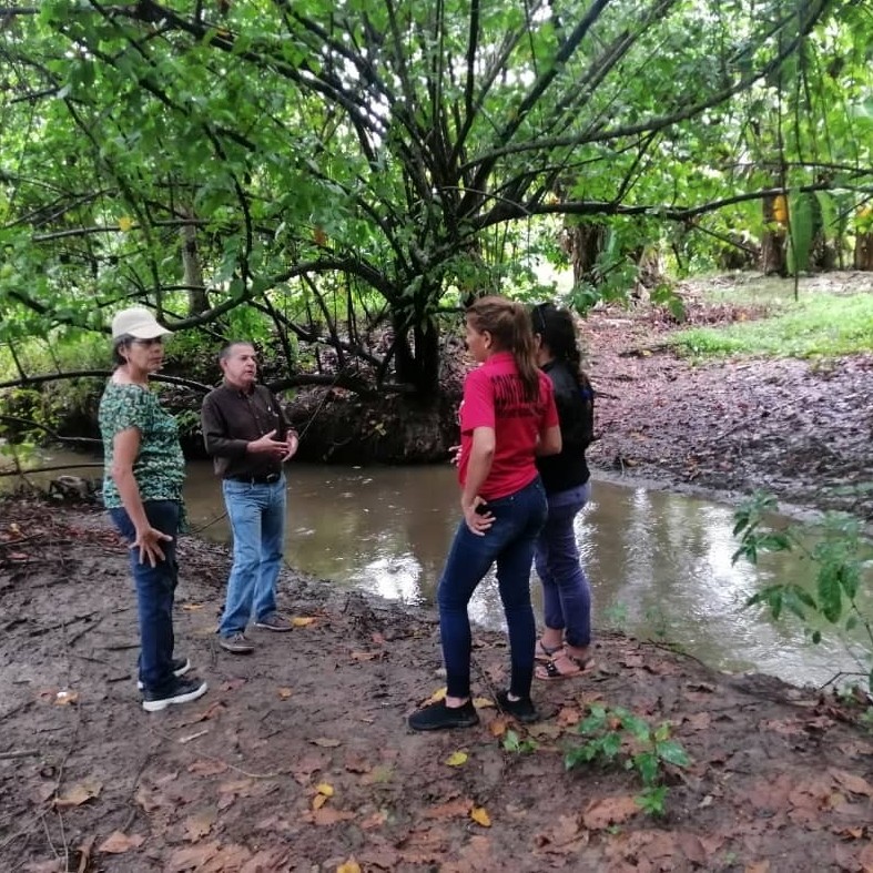 Diario Frontera, Frontera Digital,  MUNICIPIO OBISPO RAMOS DE LORA, PANAMERICANA, MÉRIDA, El Vigía Panamericana, ,Fomficc inspeccionó un puente y los caños en Obispo Ramos de Lora