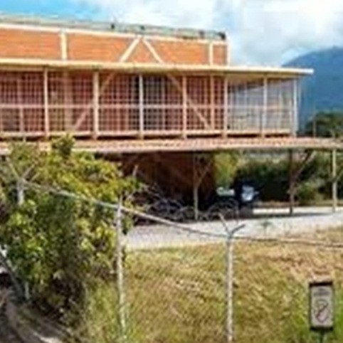 Diario Frontera, Frontera Digital,  ARROLLADO, Sucesos, ,Tribunal privó de libertad a ciudadana
que arrolló y arrastró motorizado en Mérida