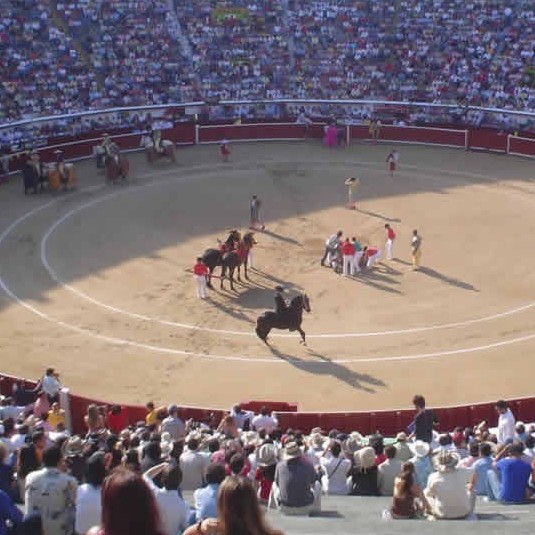 Diario Frontera, Frontera Digital,  FIESTA BRAVA, TOROS, Entretenimiento, ,San Cristóbal y Mérida en el ojo del interés del aficionado