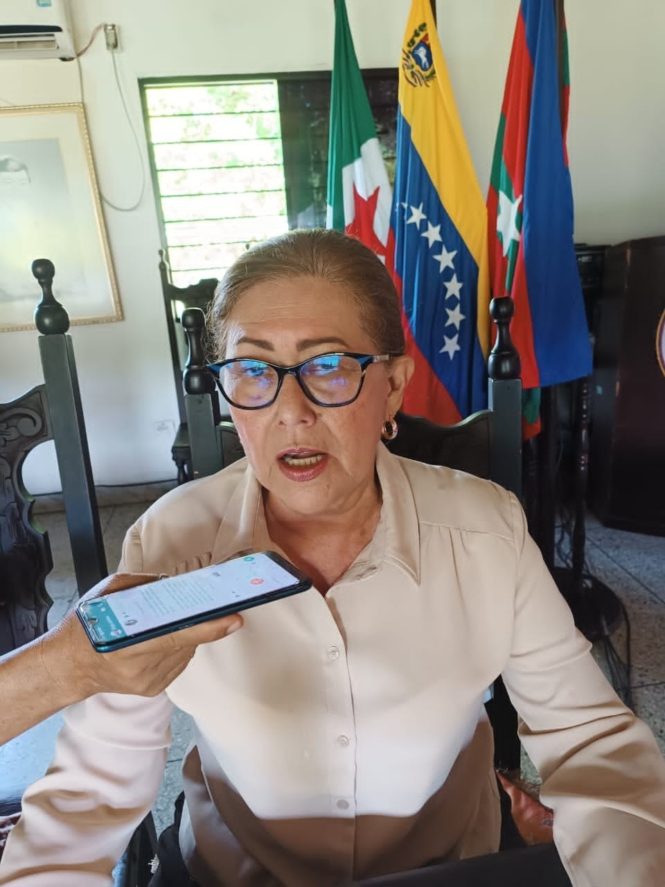 Diario Frontera, Frontera Digital,  Eligia Jáctiva, El Vigía, Concejo Municipal, El Vigía Panamericana, ,Cámara municipal cumplió con la aprobación de la reforma de seis ordenanzas en El Vigía