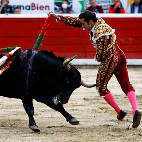 Diario Frontera, Frontera Digital,  EL FANDI, Entretenimiento, ,“El Fandi”, aquejado de una “hernia gigante lumbosacra 
que requiere cirugía de descompresión”