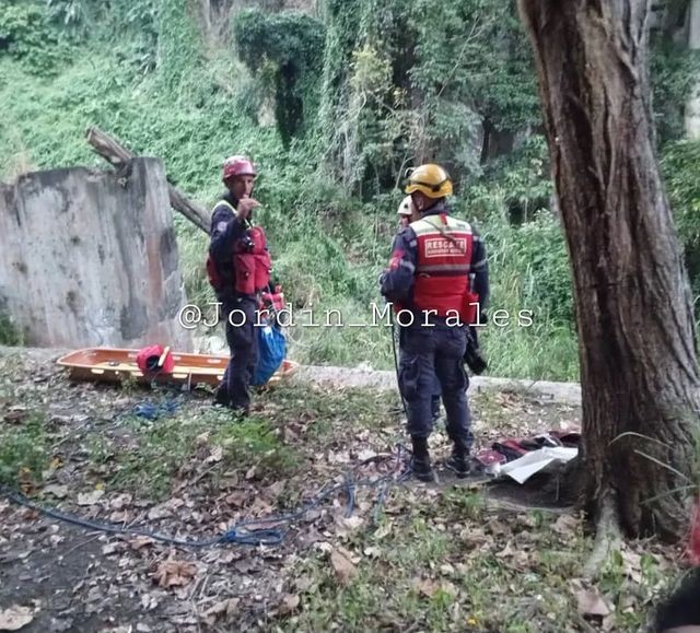 Diario Frontera, Frontera Digital,  Viaducto Miranda, Mérida, municipio Libertador, Suicidio, Cipcp, Sucesos, ,Un hombre se lanzó al vacío en Mérida