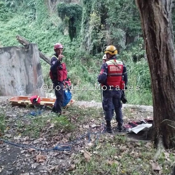 Diario Frontera, Frontera Digital,  Viaducto Miranda, Mérida, municipio Libertador, Suicidio, Cipcp, Sucesos, ,Un hombre se lanzó al vacío en Mérida