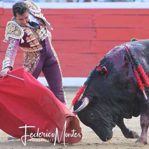 Diario Frontera, Frontera Digital,  El Fandi, David Fandila, México, Corridas de Toros, Mérida, San Cristóbal, Entretenimiento, ,“El Fandi” no podrá estar presente en la feria de Cali