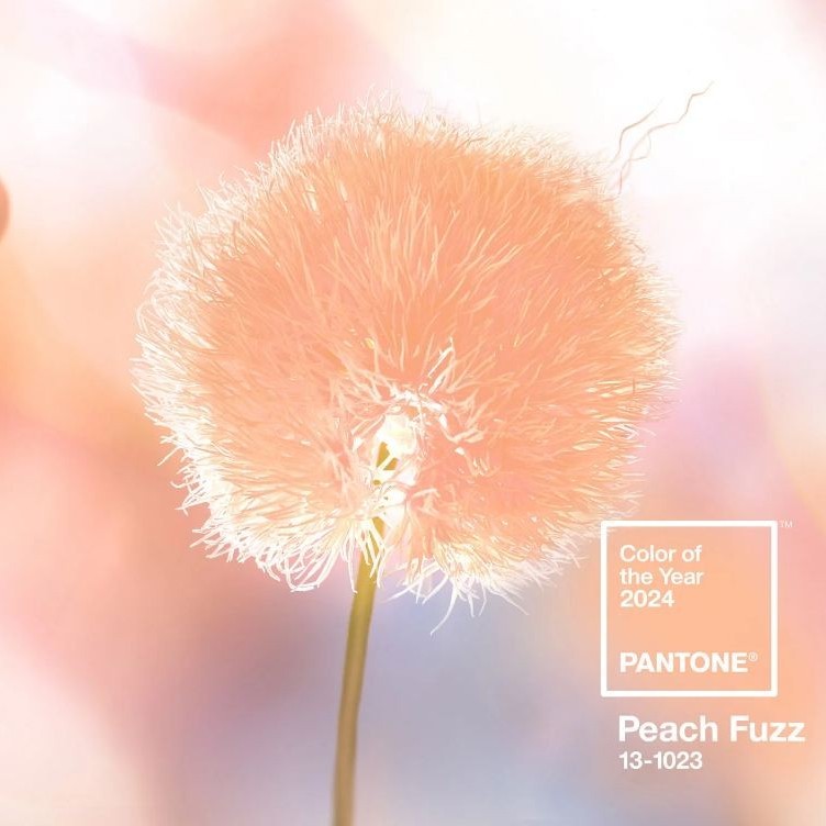 Diario Frontera, Frontera Digital,  Leatrice Eiseman, Color del año, Peach Fuzz, Pantone, Entretenimiento, ,Pantone dio a conocer el color que dominará en 2024