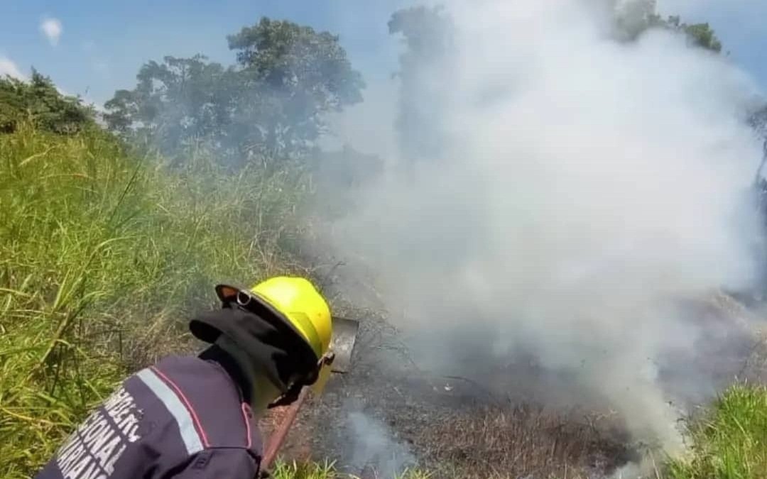 Diario Frontera, Frontera Digital,  CUERPO DE BOMBEROS, ULA, MÉRIDA, Sucesos, ,BOMBEROS SOFOCAN INCENDIO DE VEGETACIÓN 
EN TERRENO DE UNIVERSIDAD DE LOS ANDES EN MÉRIDA