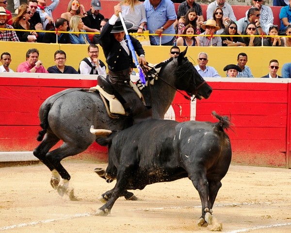 Diario Frontera, Frontera Digital,  FERIA DEL SOL, CARNAVAL TAURINO DE AMÉRICA, Francisco Javier Rodríguez, Francisco Javier Rodríguez, Entretenimiento, ,Francisco Javier Rodríguez, 
la estirpe del rejoneo venezolano tiene heredero