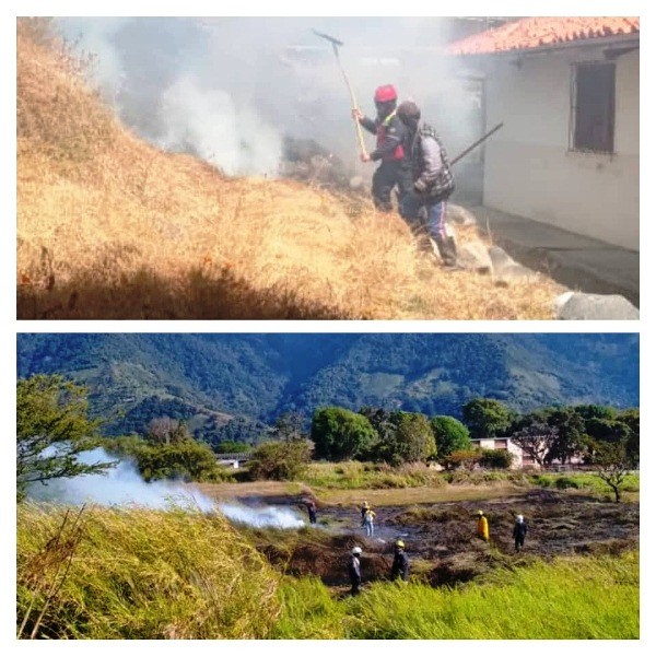 Diario Frontera, Frontera Digital,  INCENDIOS FORESTALES, BOMBEROS MÉRIDA, Sucesos, ,COMISIÓN DE BOMBEROS ATENDIERON DOS INCENDIOS
DE VEGETACIÓN EN LIBERTADOR Y RANGEL