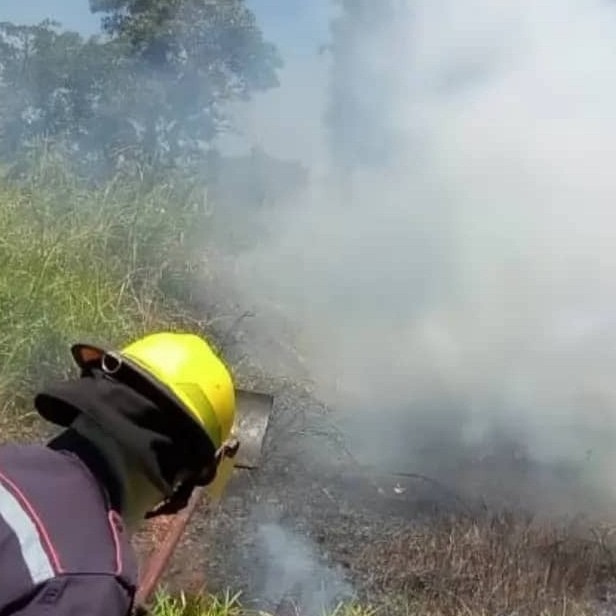Diario Frontera, Frontera Digital,  CUERPO DE BOMBEROS, ULA, MÉRIDA, Sucesos, ,BOMBEROS SOFOCAN INCENDIO DE VEGETACIÓN 
EN TERRENO DE UNIVERSIDAD DE LOS ANDES EN MÉRIDA