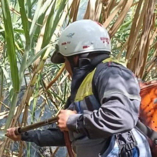 Diario Frontera, Frontera Digital,  BOMBEROS, Sucesos, ,BOMBEROS CONTROLARON INCENDIO
DE VEGETACIÓN EN TERRENO AGRÍCOLA EN EJIDO