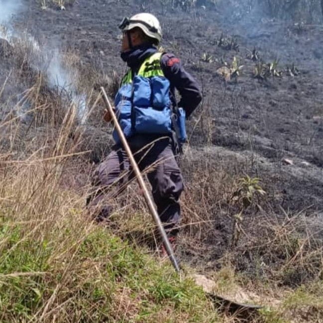 Diario Frontera, Frontera Digital,  BOMBEROS, INCENDIO, TIMOTES, PÁRAMO, MÉRIDA, Sucesos, ,Bomberos controlaron incendio de vegetación 
quedando eliminado el peligro en Timotes