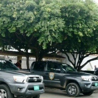 Diario Frontera, Frontera Digital,  CICPC EL VIGÍA, Sucesos, ,Cicpc detuvo a ciudadano apodado “El Maracucho”
por robo de celulares en El Vigía