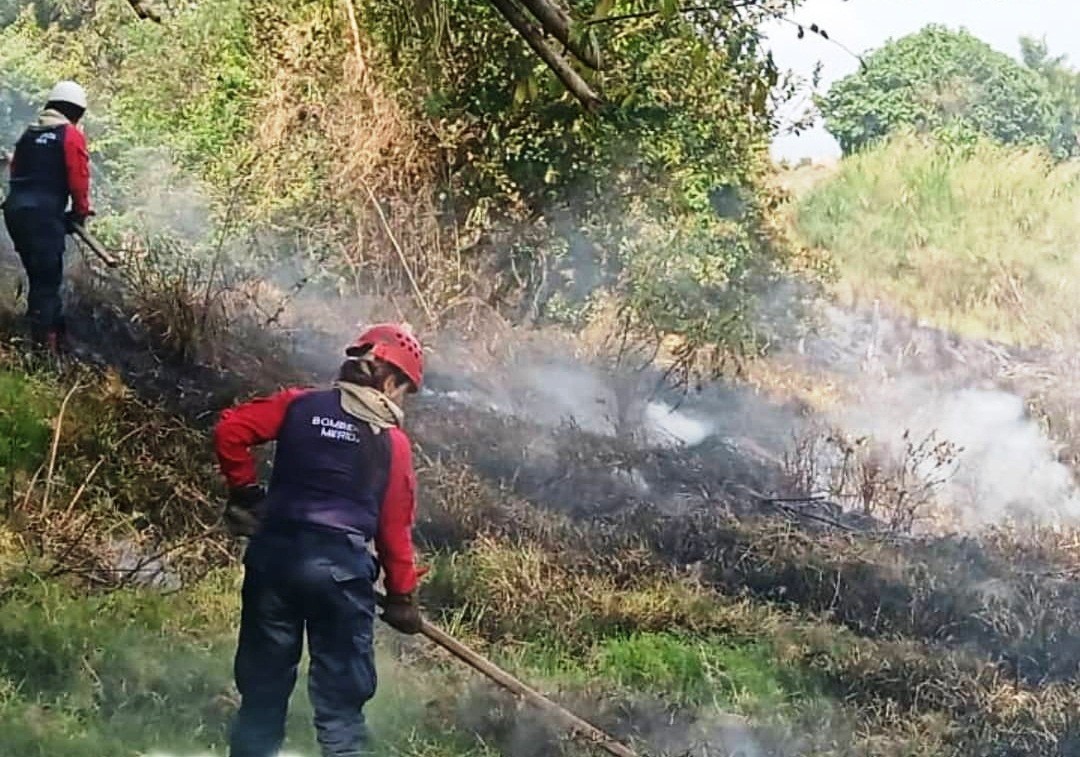 Diario Frontera, Frontera Digital,  BOMBEROS DE TOIVAR, INCENDIO FORESTAL, BAILADORES, Sucesos, ,Bomberos de Tovar controlaron incendio
de vegetación en Bailadores