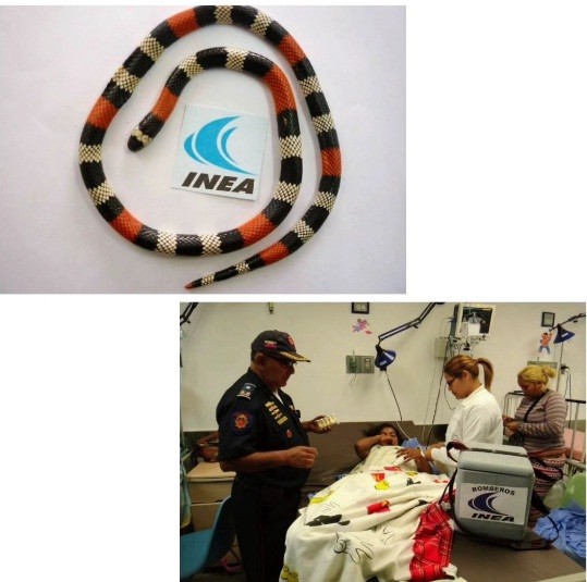 Diario Frontera, Frontera Digital,  MORDIDA POR SERPIENTE, CORAL, NUEVA BOLIVIA, Sucesos, ,Niña merideña atacada por una coral 
cuando iba a jugar con ella en Nueva Bolivia