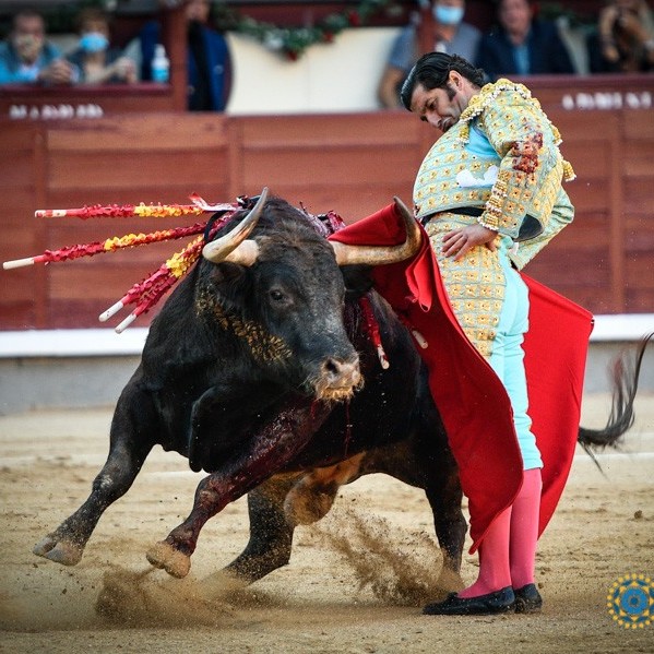 Diario Frontera, Frontera Digital,  Toreros del 23…, Entretenimiento, ,Toreros del 23…