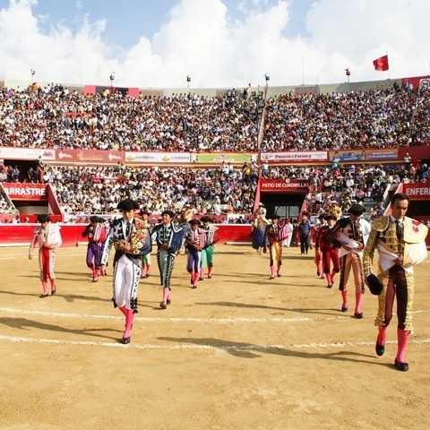 Diario Frontera, Frontera Digital,  El Canal Toros de Movistar, Entretenimiento, ,El Canal Toros de Movistar cierra y se abre la ventara de Mundotoro TV