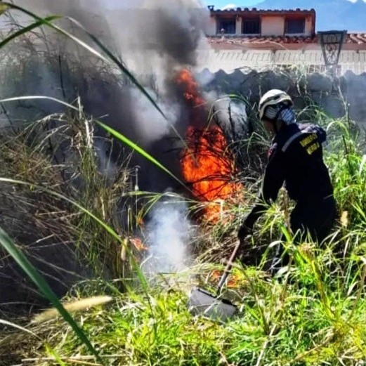Diario Frontera, Frontera Digital,  CUERPO DE BOMBEROS, SOFOCAN INCENDIO, ULA, MÉRIDA, Sucesos, ,Bomberos sofocan incendio de vegetación
en terreno de la ULA en Mérida