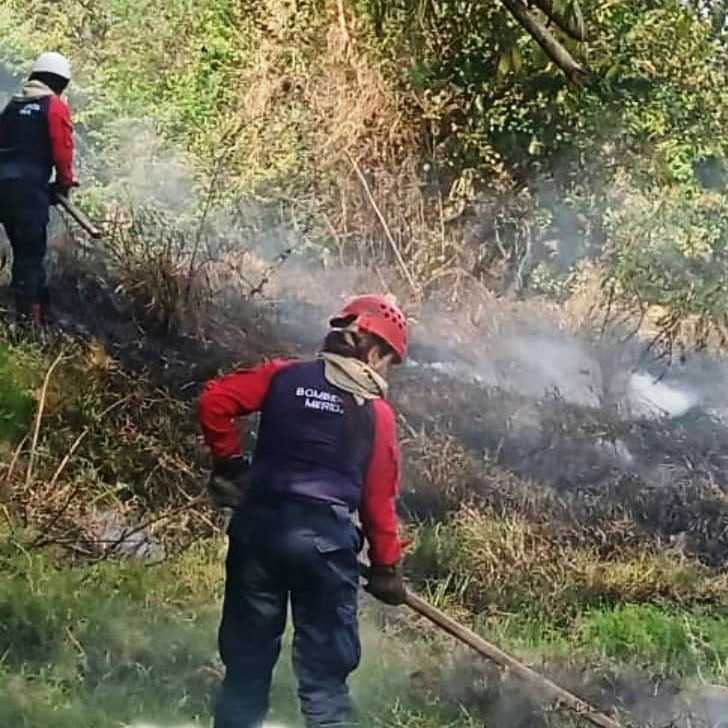 Diario Frontera, Frontera Digital,  BOMBEROS DE TOIVAR, INCENDIO FORESTAL, BAILADORES, Sucesos, ,Bomberos de Tovar controlaron incendio
de vegetación en Bailadores