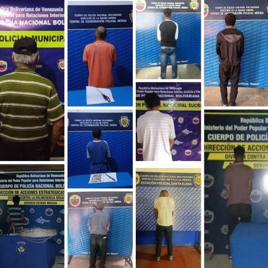 Diario Frontera, Frontera Digital,  PNB, Sucesos, ,PNB aprehendió en cinco municipios merideños
a once ciudadanos en procedimientos policial