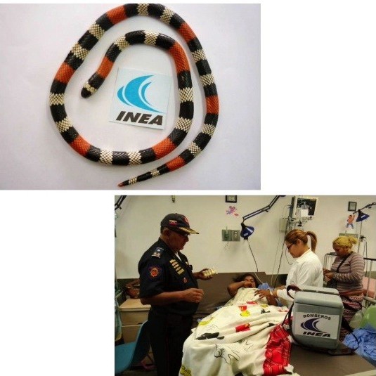 Diario Frontera, Frontera Digital,  MORDIDA POR SERPIENTE, CORAL, NUEVA BOLIVIA, Sucesos, ,Niña merideña atacada por una coral 
cuando iba a jugar con ella en Nueva Bolivia
