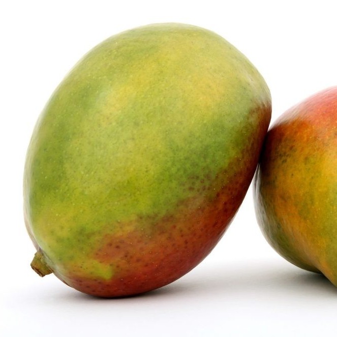 Diario Frontera, Frontera Digital,  hoja de mango, ANTIOXIDANTE, Salud, ,Extracción de antioxidantes a partir de la hoja de mango