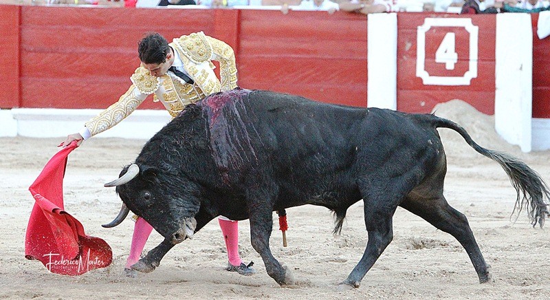Diario Frontera, Frontera Digital,  Leonardo Benítez y Antonio Suarez, TÁRIBA, TOROS, Entretenimiento, ,Leonardo Benítez y Antonio Suarez en carteles de Táriba