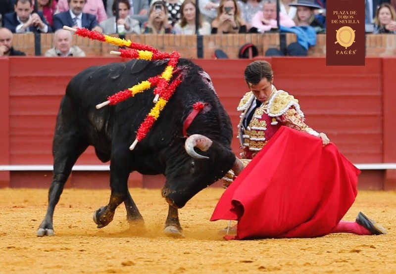Diario Frontera, Frontera Digital,  TOROS, RUBEN DARIO VILLAFRAZ, Entretenimiento, ,En la calle carteles de la Feria de Mayo en San Felipe