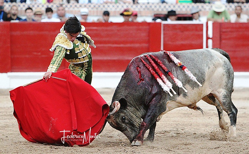Diario Frontera, Frontera Digital,  Jesús Enrique “Colombo”, TOROS, Entretenimiento, ,Jesús Enrique “Colombo” se alista con verdadero ánimo e ilusión