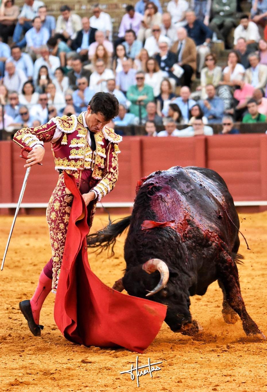 Diario Frontera, Frontera Digital,  SEVILLA, CUARTO FESTEJO DE ABONO, Entretenimiento, ,Una faena antológica de Daniel Luque