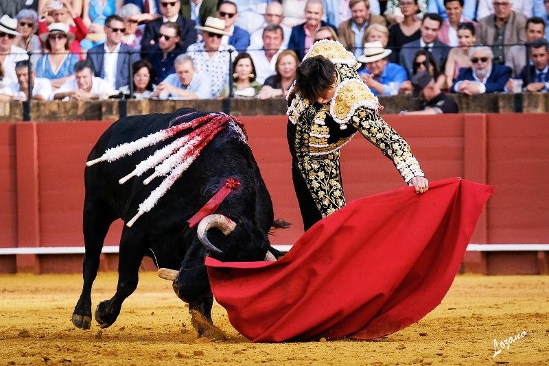 Diario Frontera, Frontera Digital,  FERIA DE ABRIL, SEVILLA, DUODÉCIMO FESTEJO DE ABONO, Entretenimiento, ,La insultante autoridad de Roca Rey hace embestir a los bueyes