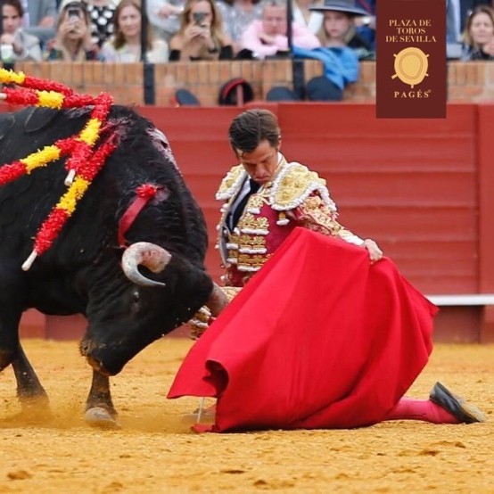 Diario Frontera, Frontera Digital,  TOROS, RUBEN DARIO VILLAFRAZ, Entretenimiento, ,En la calle carteles de la Feria de Mayo en San Felipe
