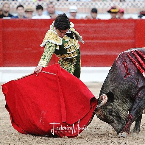 Diario Frontera, Frontera Digital,  Jesús Enrique “Colombo”, TOROS, Entretenimiento, ,Jesús Enrique “Colombo” se alista con verdadero ánimo e ilusión