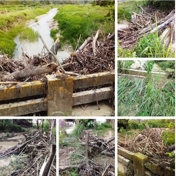 Diario Frontera, Frontera Digital,  Mantneimiento alcantarillas troncal 001, onia, alberto adriani, mérida, El Vigía Panamericana, ,Mantenimiento urgente a las alcantarillas
que se encuentran en la Troncal 001 después de Onía