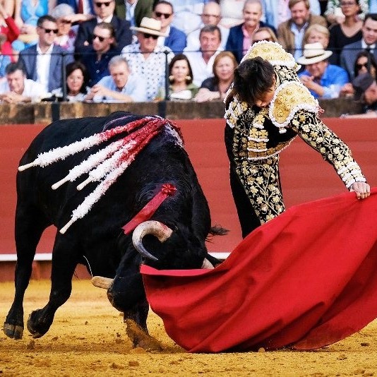 Diario Frontera, Frontera Digital,  FERIA DE ABRIL, SEVILLA, DUODÉCIMO FESTEJO DE ABONO, Entretenimiento, ,La insultante autoridad de Roca Rey hace embestir a los bueyes