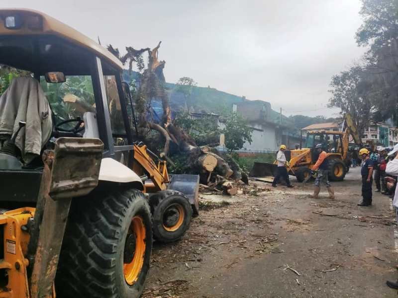 Diario Frontera, Frontera Digital,  SANTOS MARQUINA, LAS MERCEDES, ÁRBOLES CAIDOS, Páramo, ,Ejecutivo regional solventó situación en Las Mercedes