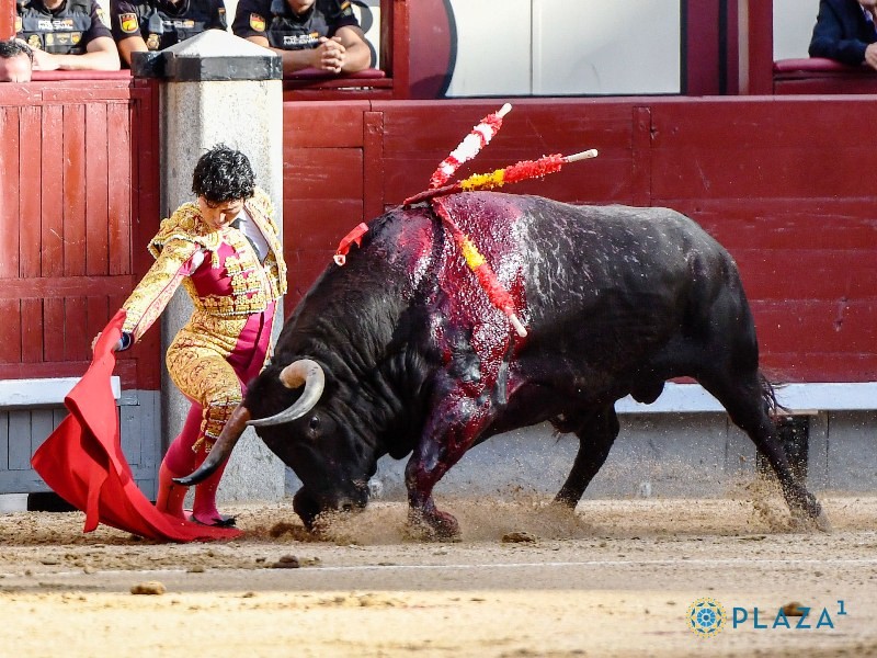 Diario Frontera, Frontera Digital,  EXTO FESTEJO DE ABONO, FERIA DE SAN ISIDRO, Entretenimiento, ,Perera se gusta con un gran toro