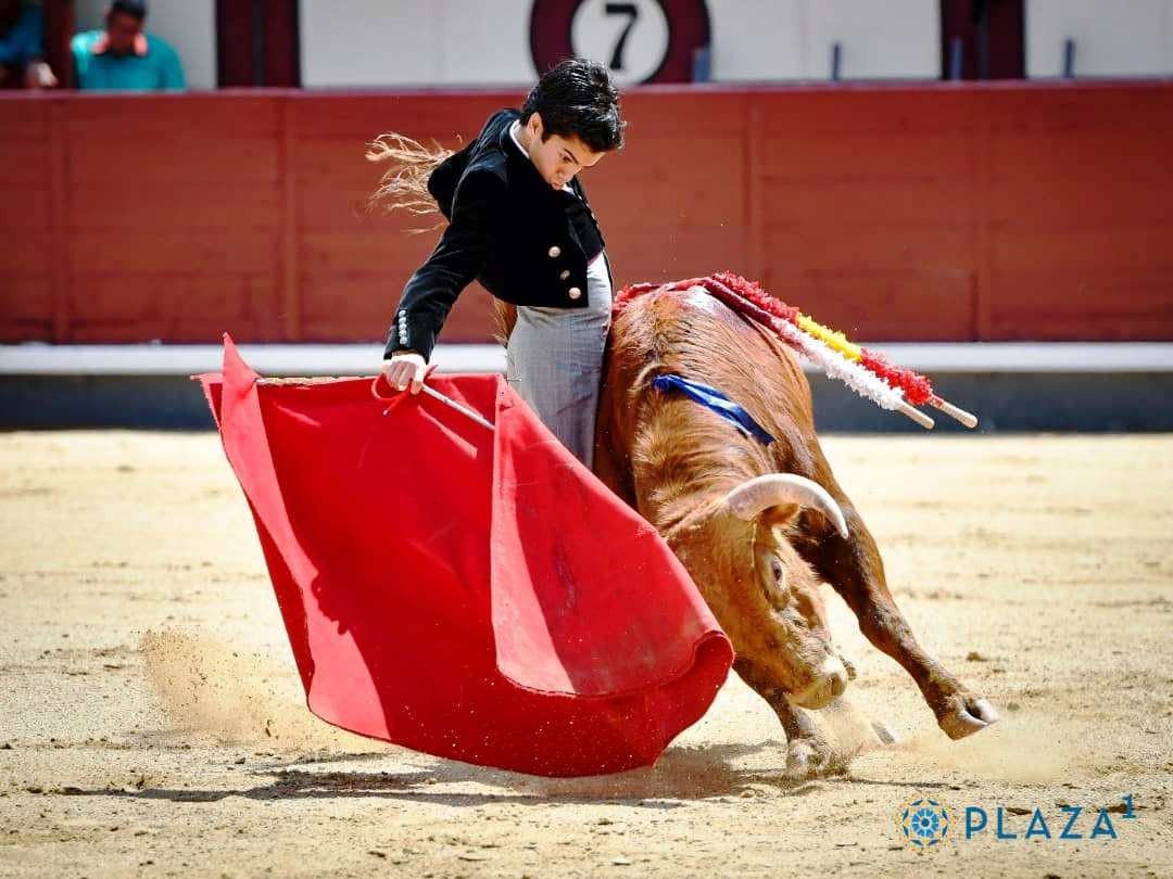 Diario Frontera, Frontera Digital,  FERIA DE SAN ISIDRO, CLASE PRÁCTICA, Entretenimiento, ,Apoteósica Puerta Grande infantil: Marco Pérez impacta en en Las Ventas