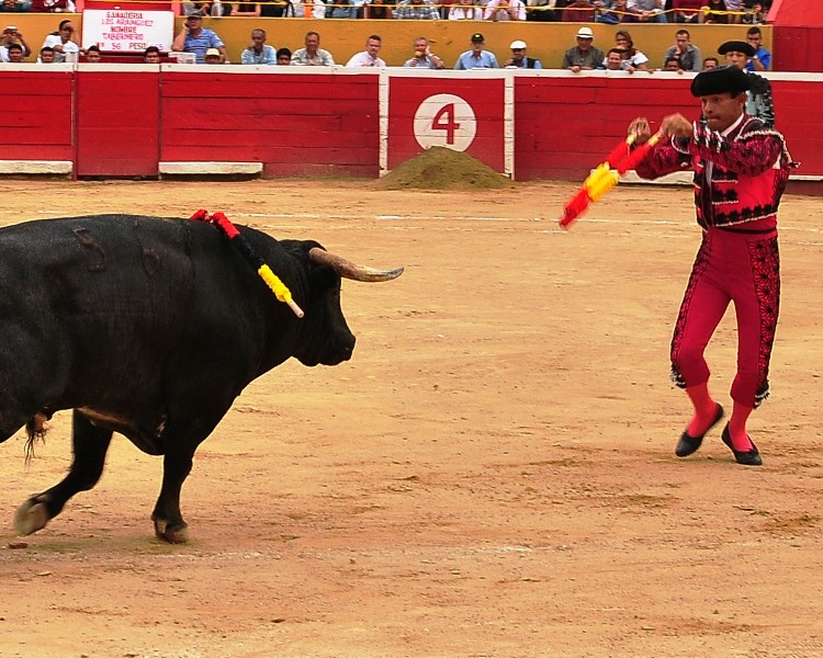 Diario Frontera, Frontera Digital,  COTRATACIONES, SAN CRISTÓBAL, SAN SEBASTIÁN, Isaías A. Márquez Díaz, Entretenimiento, ,De Justo y Fonseca junto a Los Aránguez, 
primeras contrataciones para San Cristóbal