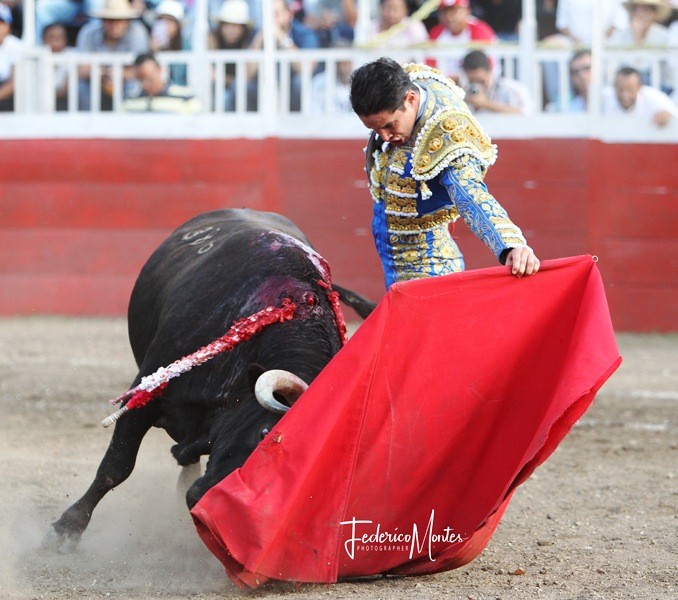 Diario Frontera, Frontera Digital,  TOROS EN EL VIGÍA, Entretenimiento, ,El Vigía tendrá toros, con cartel atractivo mixto