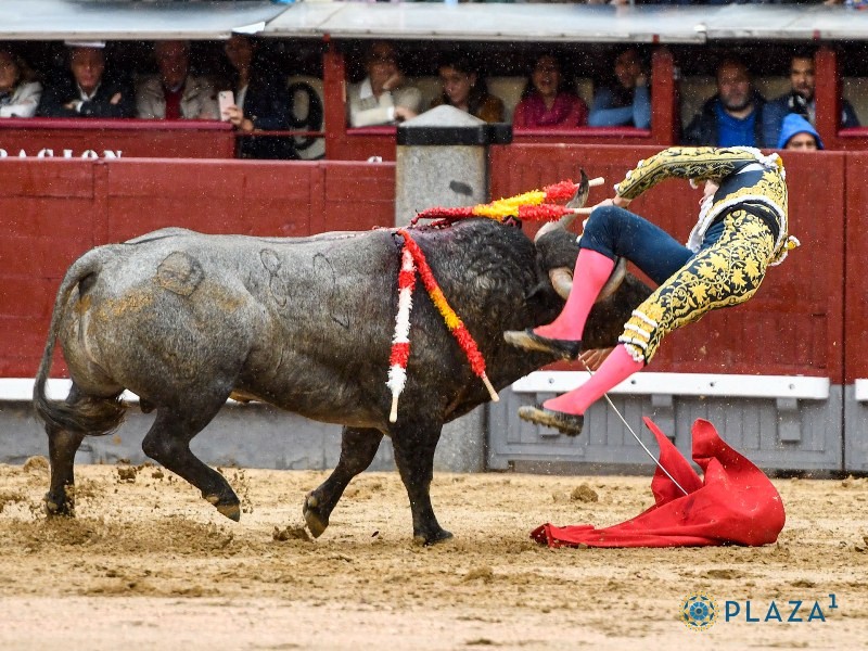 Diario Frontera, Frontera Digital,  FERIA DE SAN ISIDRO, DECIMOSÉPTIMO FESTEJO DE ABONO, Entretenimiento, ,De la sangre de Garrido a la gloria exaltada y frustrada de Robleño en Madrid