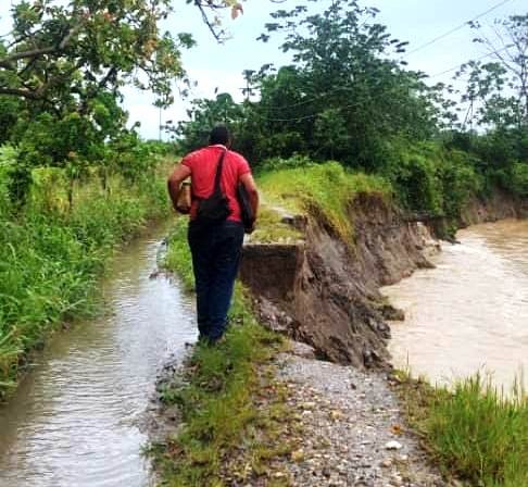 Diario Frontera, Frontera Digital,  ALBERTO ADRIANI, RÍO ONIA, VIALIDAD KILÓMETRTO 49, El Vigía Panamericana, ,Crecida del río Onia acabó con vialidad rural 
del kilómetro 49 en Alberto AdrIani