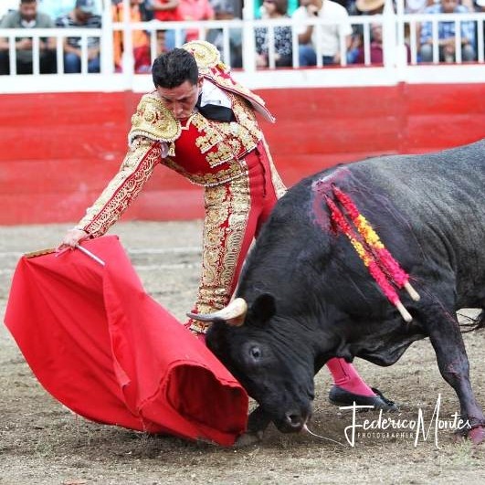 Diario Frontera, Frontera Digital,  FERIA DE MAYO EN SAN FELIPE, PRIMERA CORRIDA, Entretenimiento, ,Ángel Ramos pide sitio ante la afición venezolana