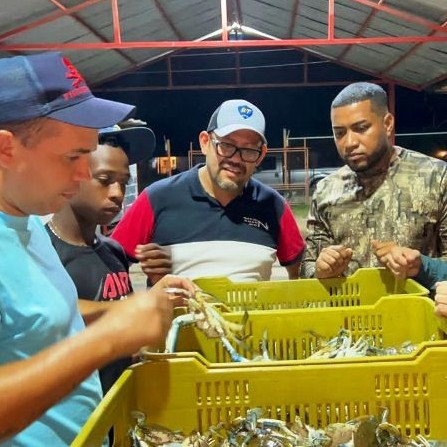 Diario Frontera, Frontera Digital,  Planta procesadora de cangrejo, MUNICIPIO TULIO FEBRES CORDERO, MÉRIDA, El Vigía Panamericana, ,Planta procesadora de cangrejo de Palmarito reactivó operaciones