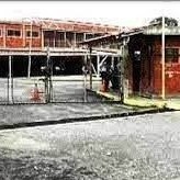 Diario Frontera, Frontera Digital,  Tribunal de El Vigía, Sucesos, ,Tribunal de El Vigía otorgó medida cautelar 
a detenida por presunta violación contra su nieta
