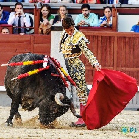 Diario Frontera, Frontera Digital,  FDERIA DE SAN ISIDRO, PRIMER FESTEJO, Entretenimiento, ,La faena secreta de El Juli 
bajo la losa de la decepción